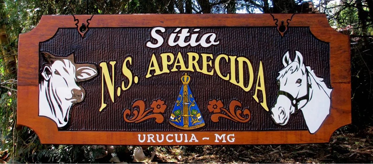 Placa de madeiras entalhadas de ALTA QUALIDADE - Foto 2