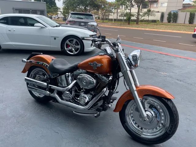 2014 harley clearance fatboy