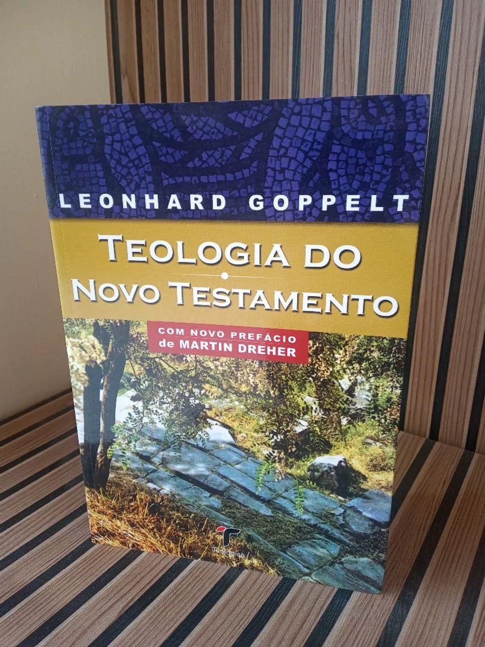 Livro - Teologia do Novo Testamento - Semi-novo