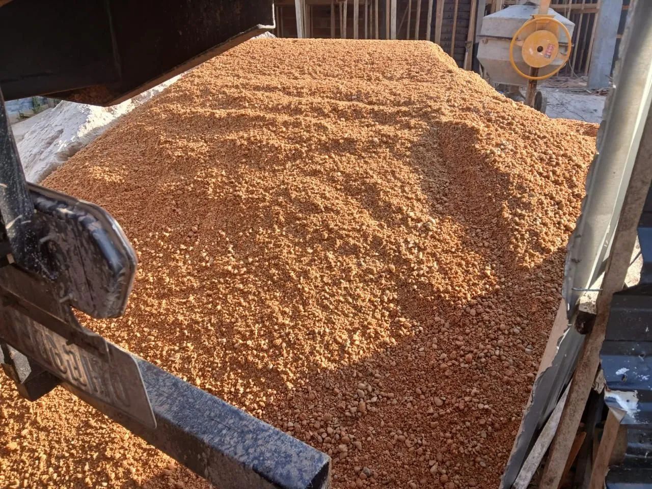 SEIXO COMUM 64220710518659121