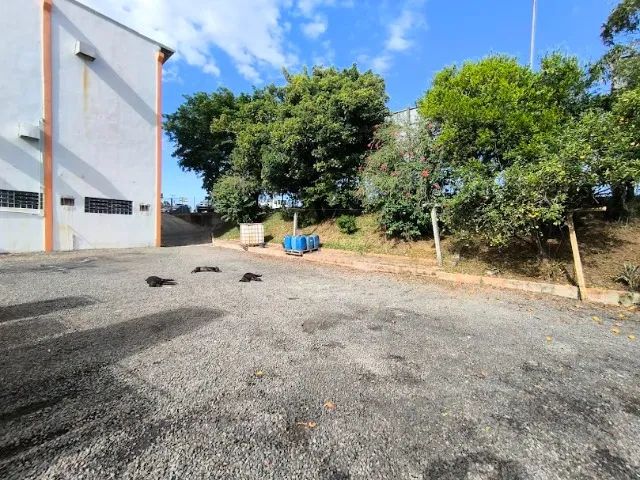 Galpão Pavilhão AMPLO numa geral próximo de comércios em Criciúma FÁCIL ACESSO A BR101 - Foto 3