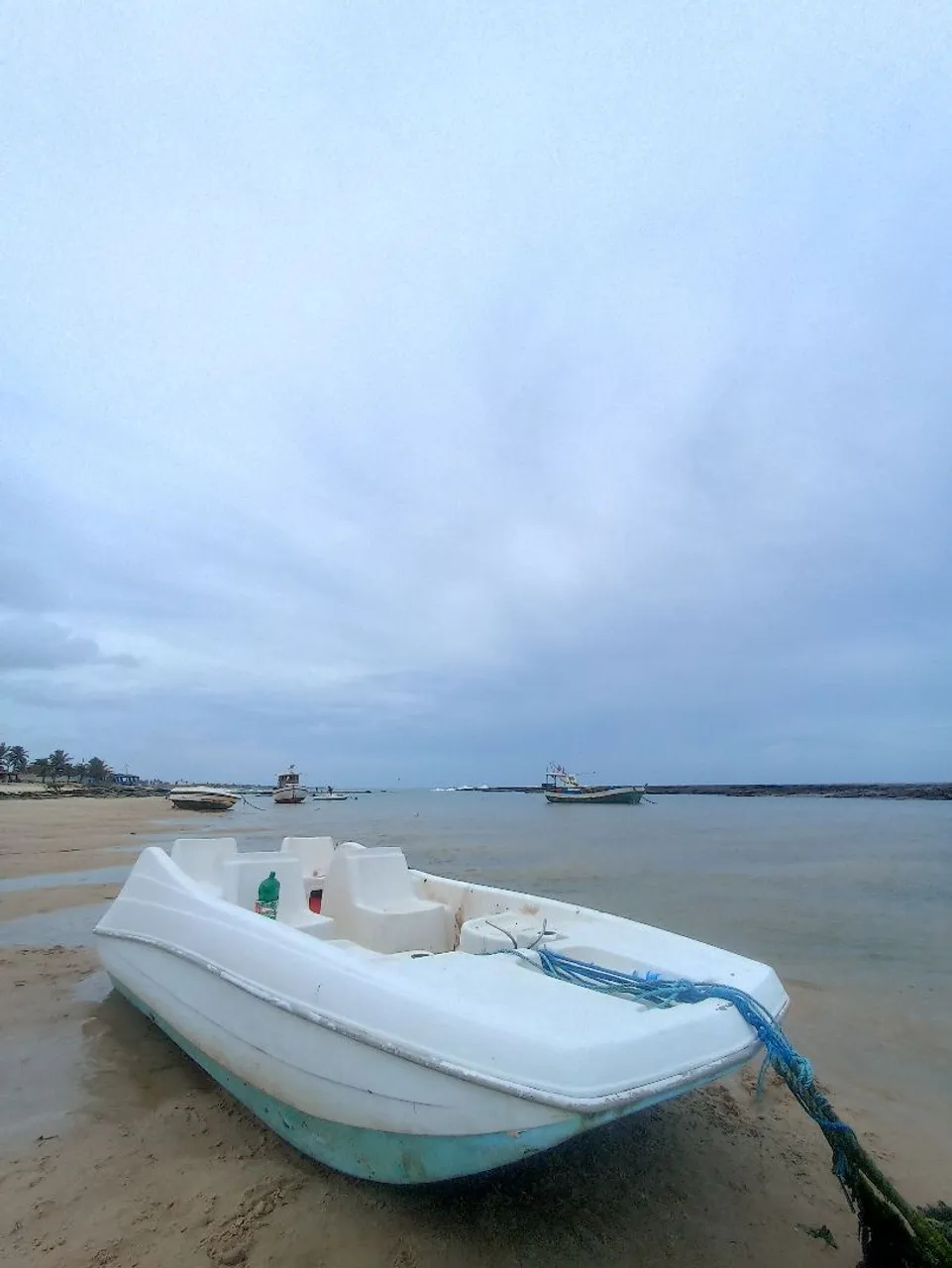 Lancha sportfish 14 pés
