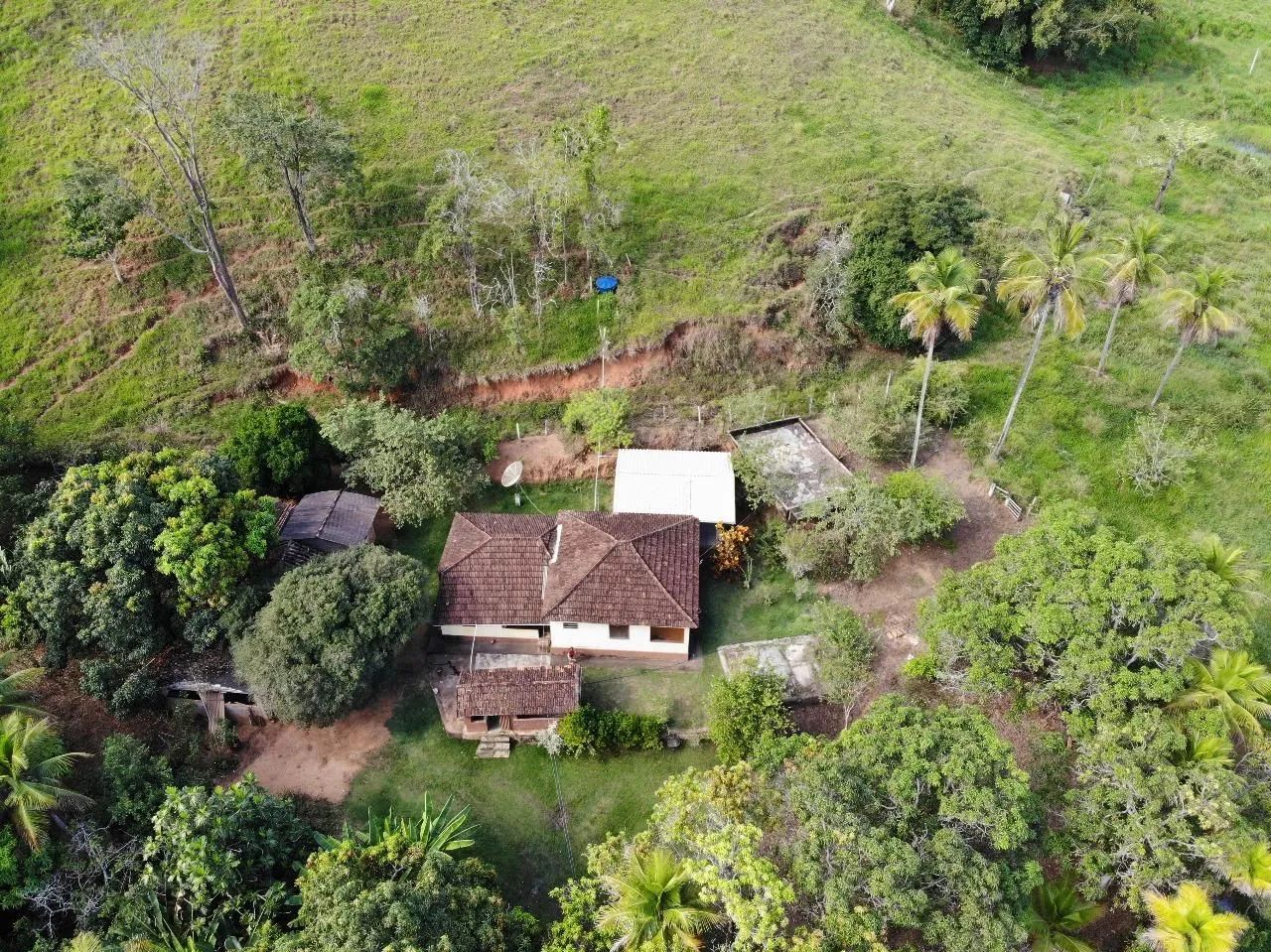 Foto - Campos dos Goytacazes - Parque Tamandaré