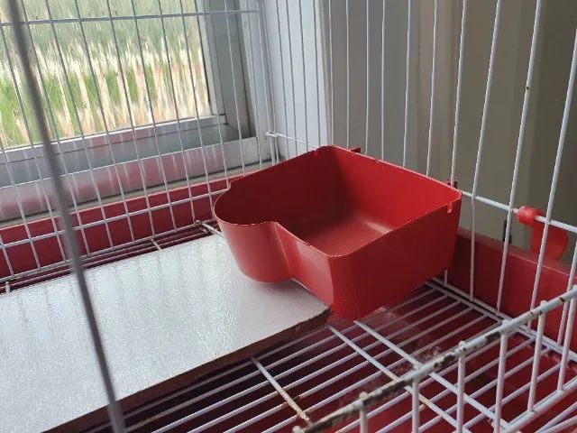 Gaiola para roedores - Foto 3