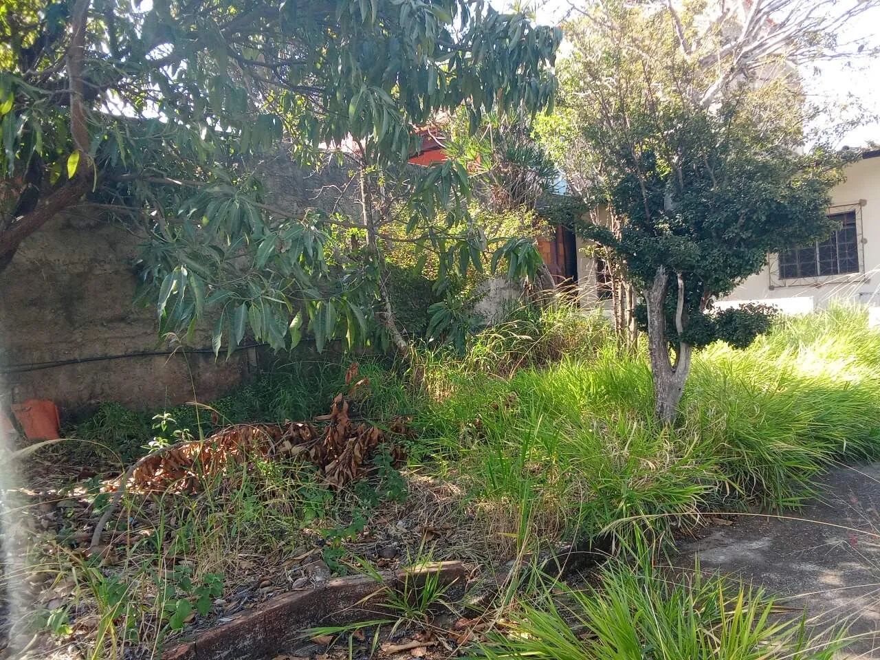 LOTE 360M² NO SANTA HELENA - Foto 4