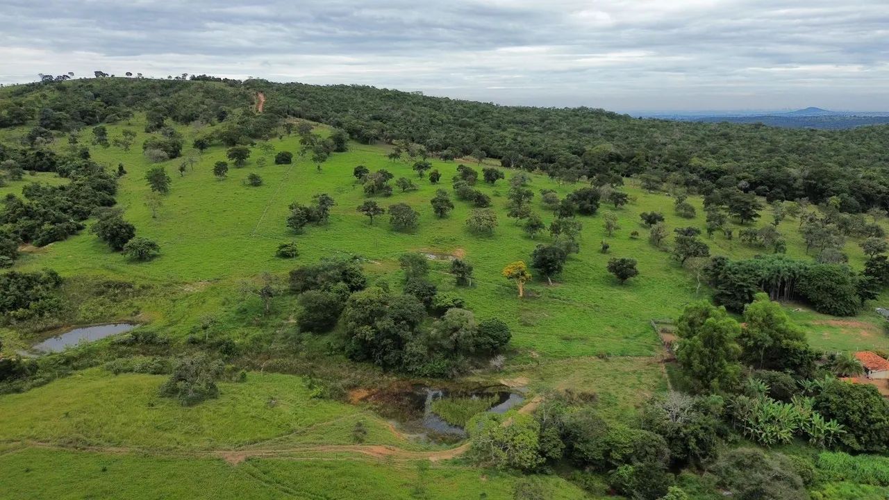 Fazenda em caldazinha  - Foto 3