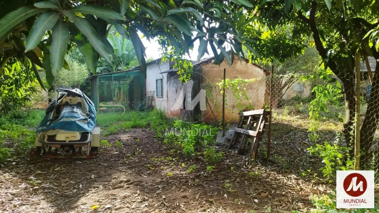 Terreno (terreno normal) - Foto 5