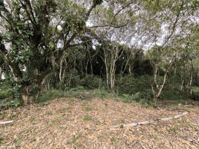 Terreno 500m² no Guarau - Peruíbe - já com licenciamento Ambiental - Foto 4