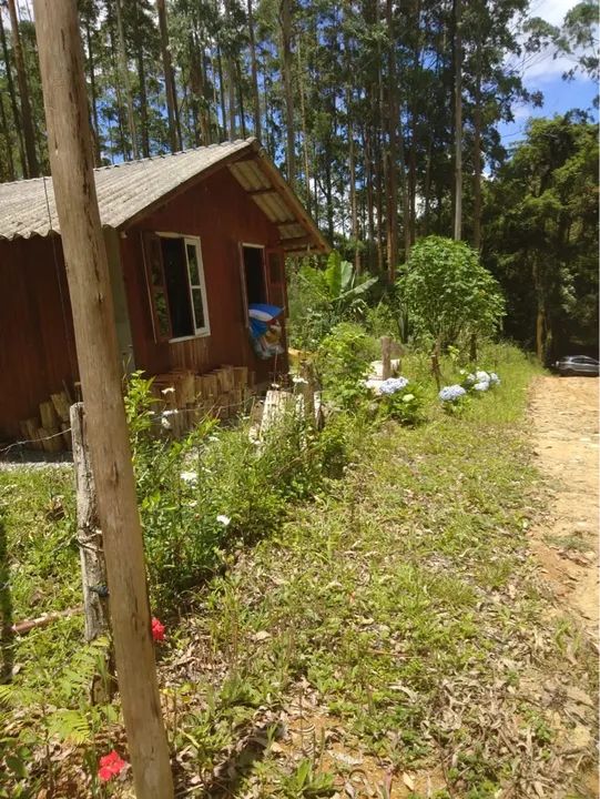 Sítio - 10 hectares - São Bonifácio - Foto 2
