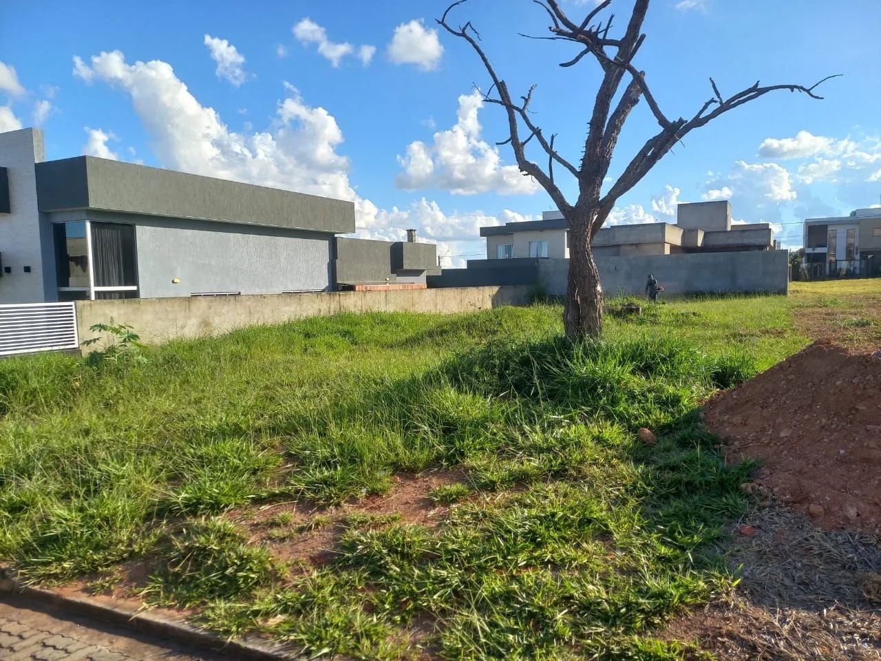 Oportunidade Rara
