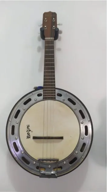 Banjo com Case