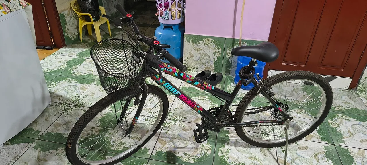 Bicicleta