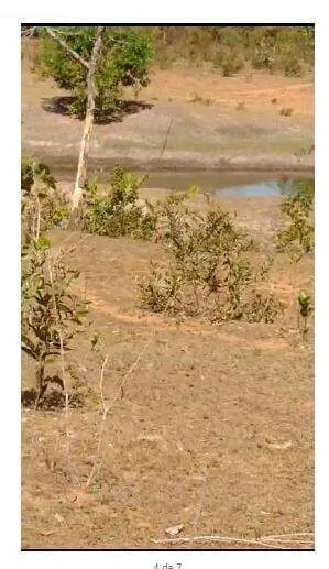 Chácara à venda ASSENTAMENTO PRIMAVERA Dom Aquino 550.000,00