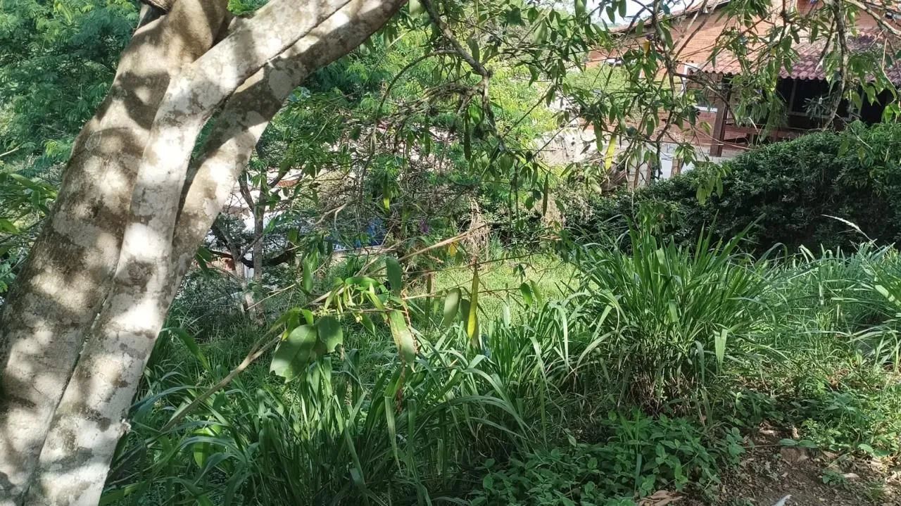 Terror no condomínio nossa sra de Lourdes- Gravatá - Foto 2