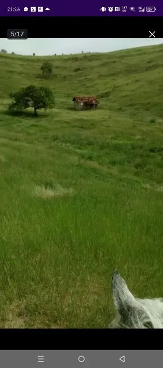 Área Rural, Terra para pasto, plantação Entrada mínima 11 mil + parcelas - Foto 2