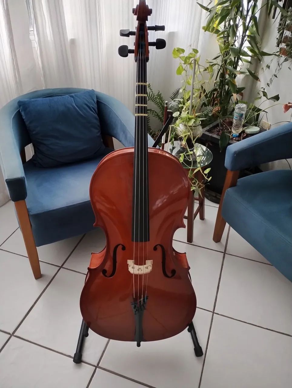 Violoncelo em ótimo estado, semi novo.