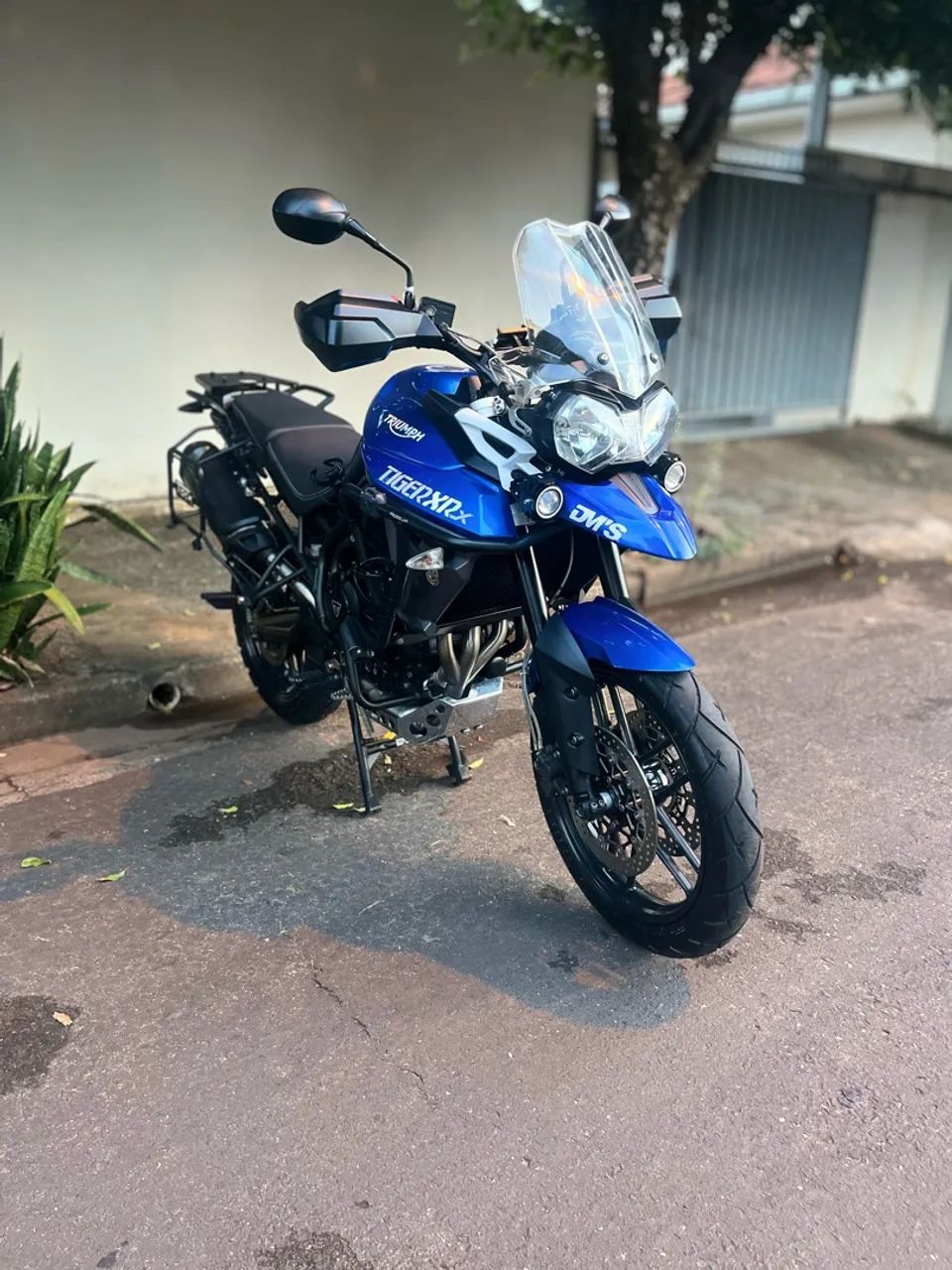 Tiger 800 - Foto 4