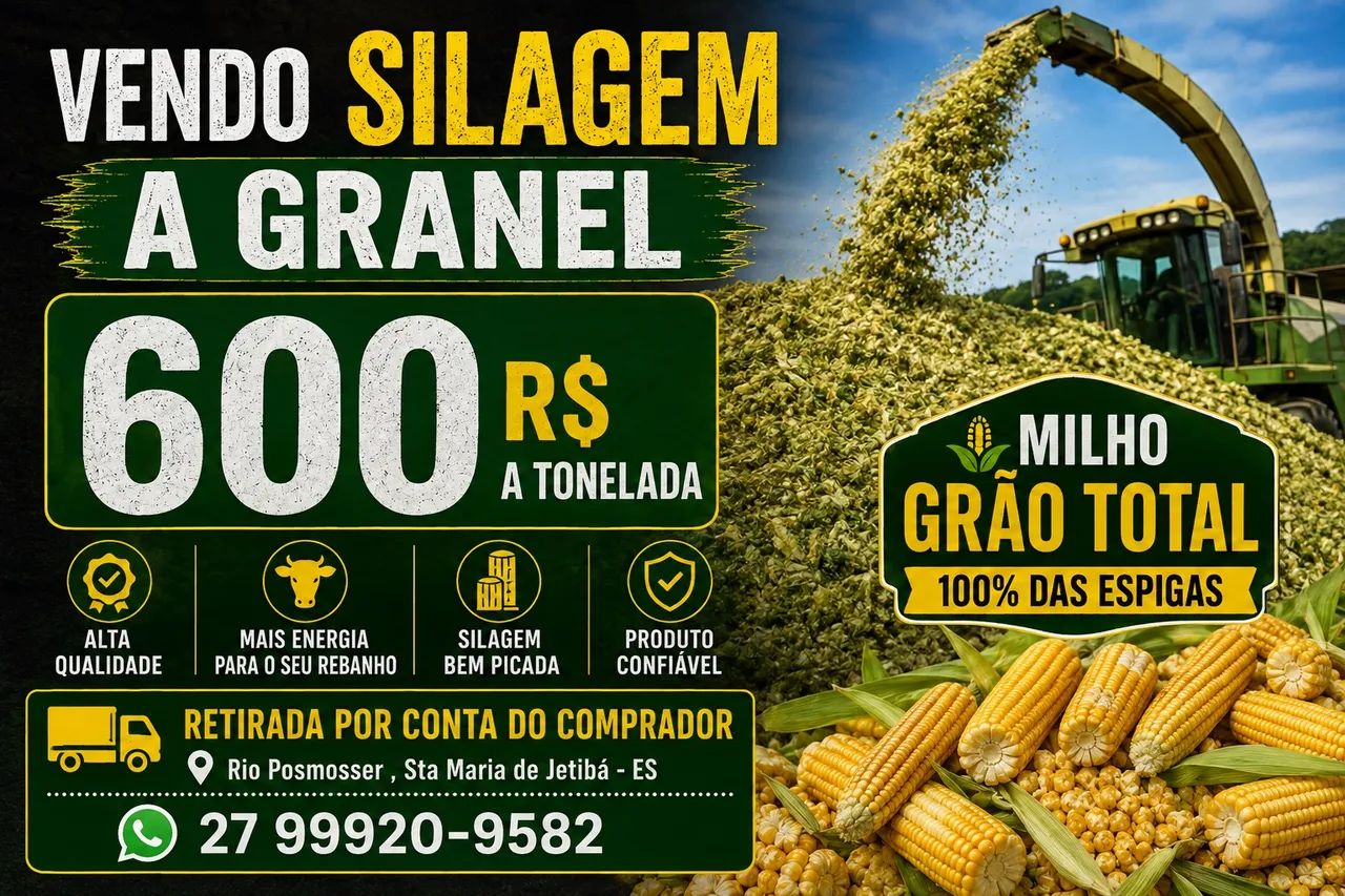 Silagem Grao Total Granel