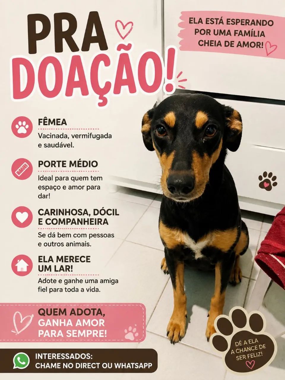 Doação 