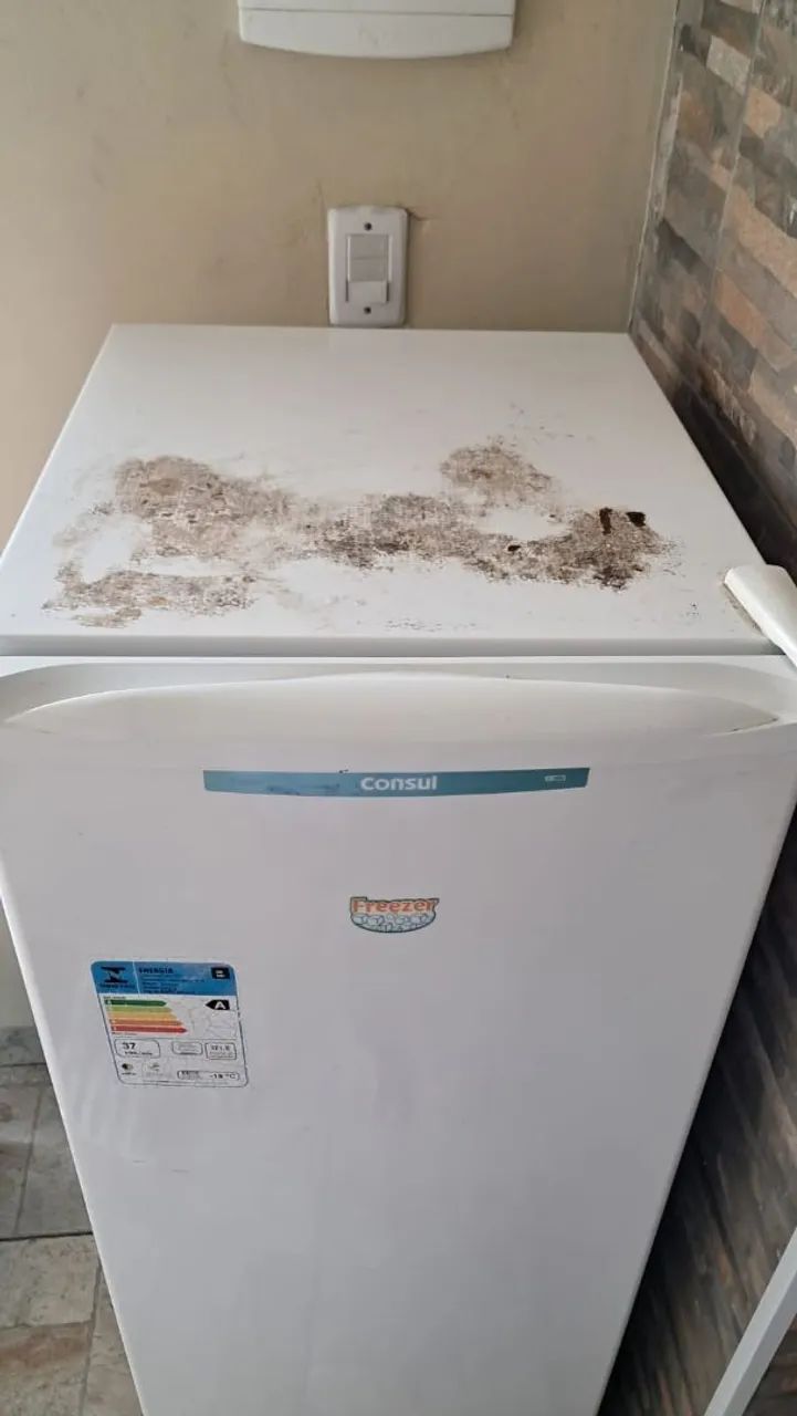 PROMOÇÃO FREEZER - Foto 4