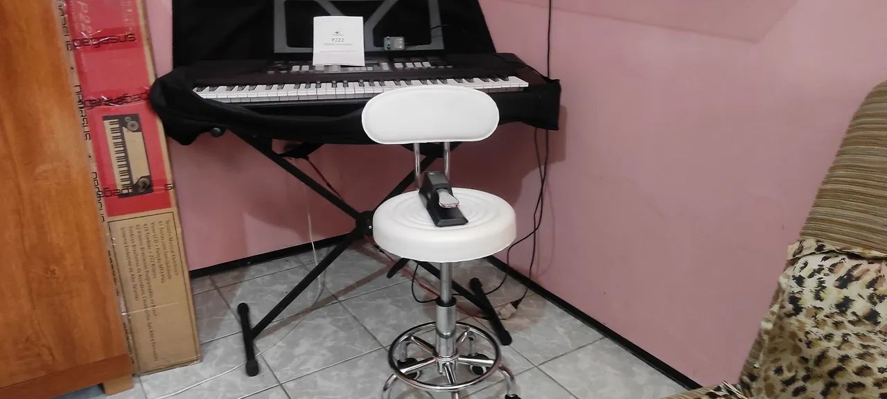 TECLADO MUSICAL PEGASUS 222 PROFISSIONAL 
