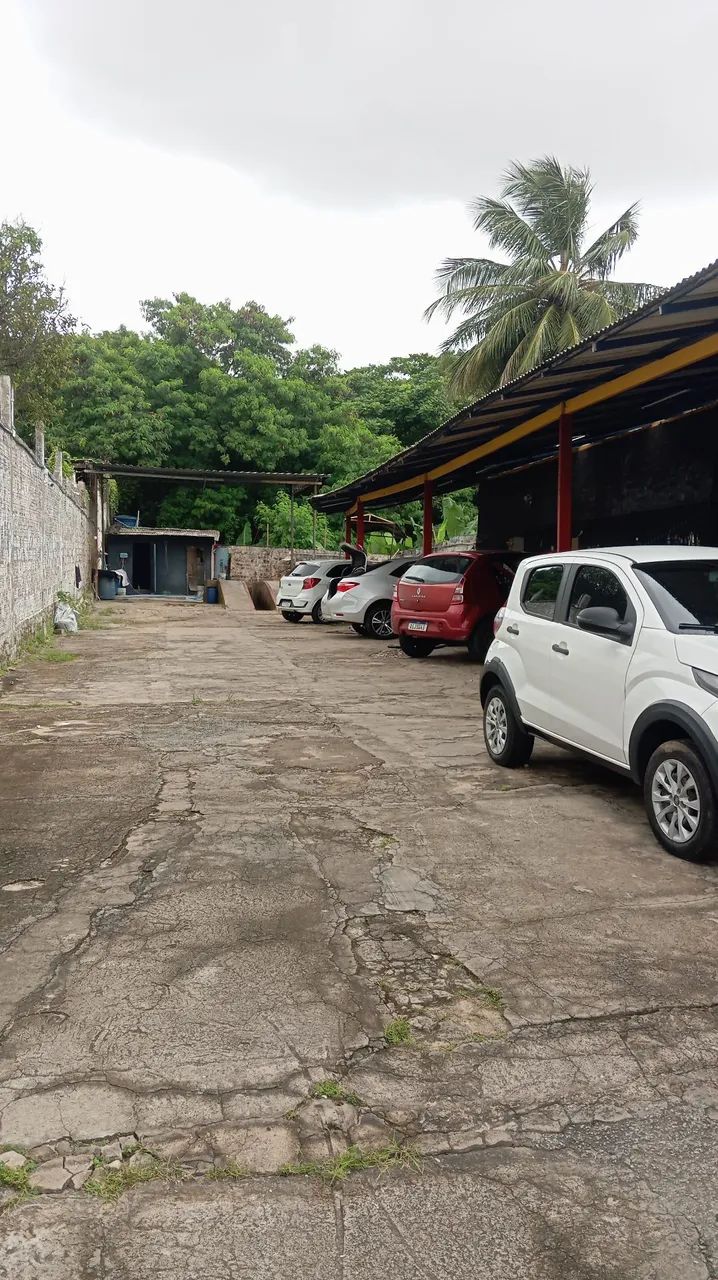 Precisa-se de Lavador/Arremate - Foto 2
