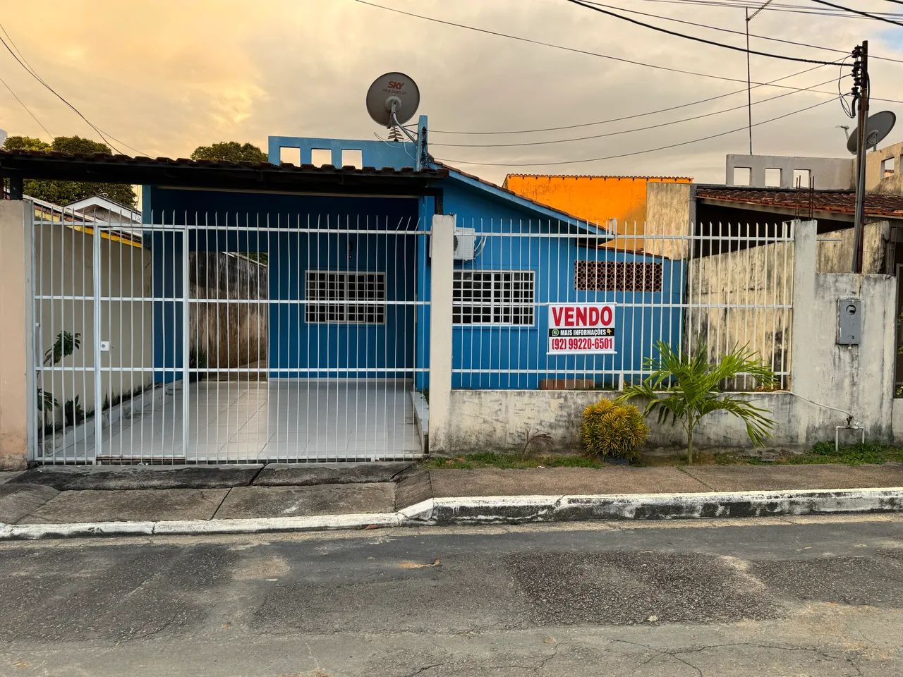 Foto - Manaus - Flores