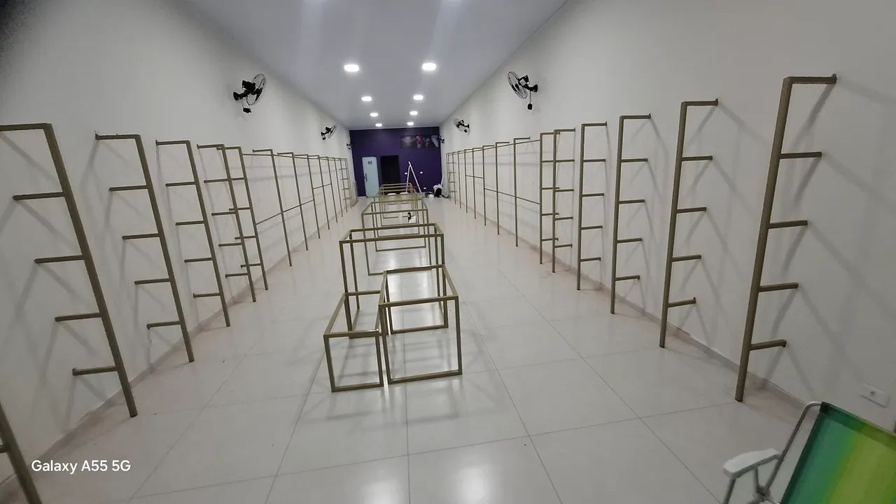 Araras loja - Foto 5