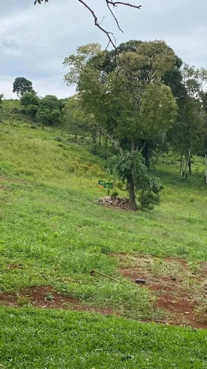 Chacarra para venda - AGUA AMARELA - Foto 3