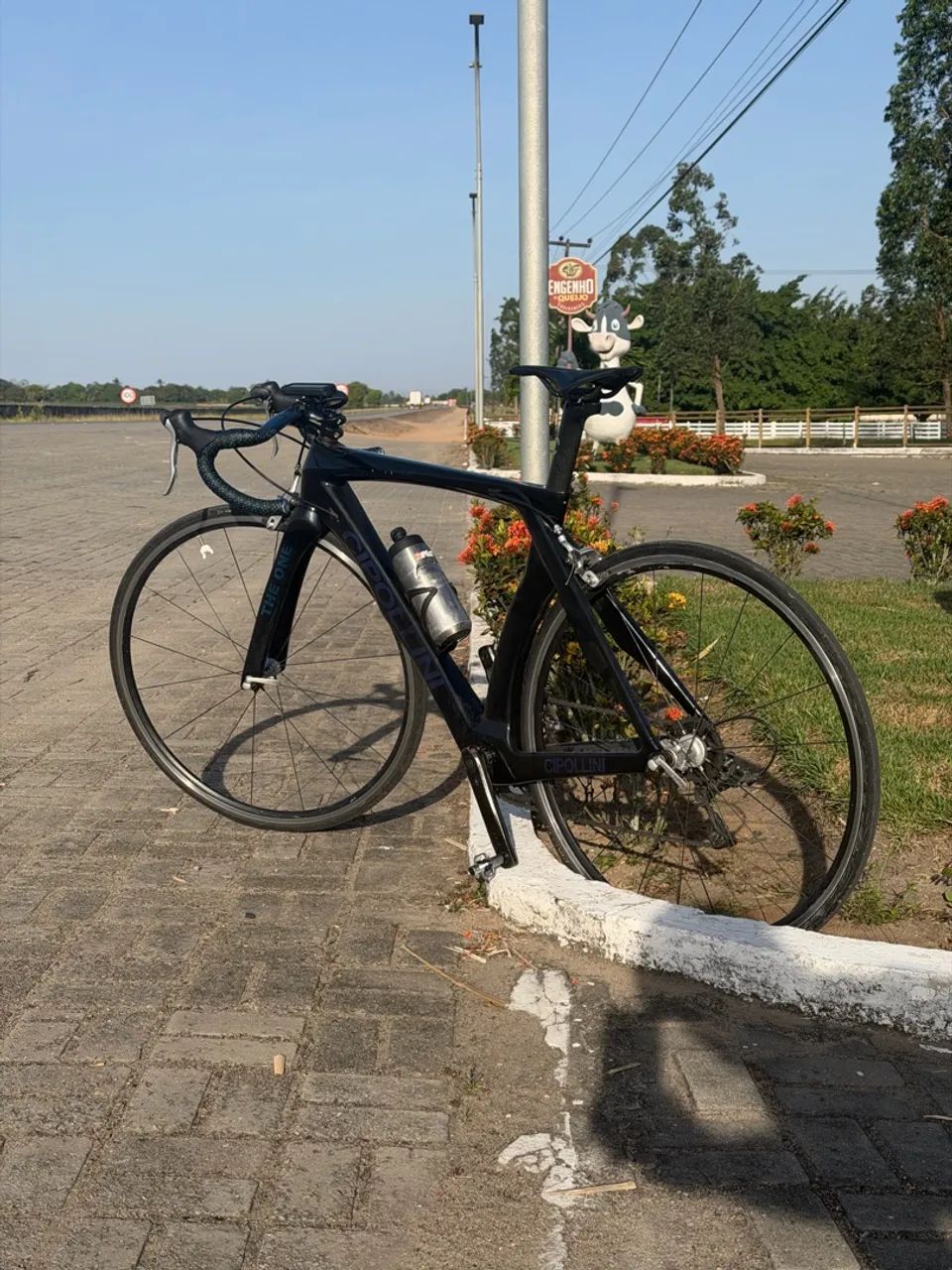 Bicicleta speed carbono 