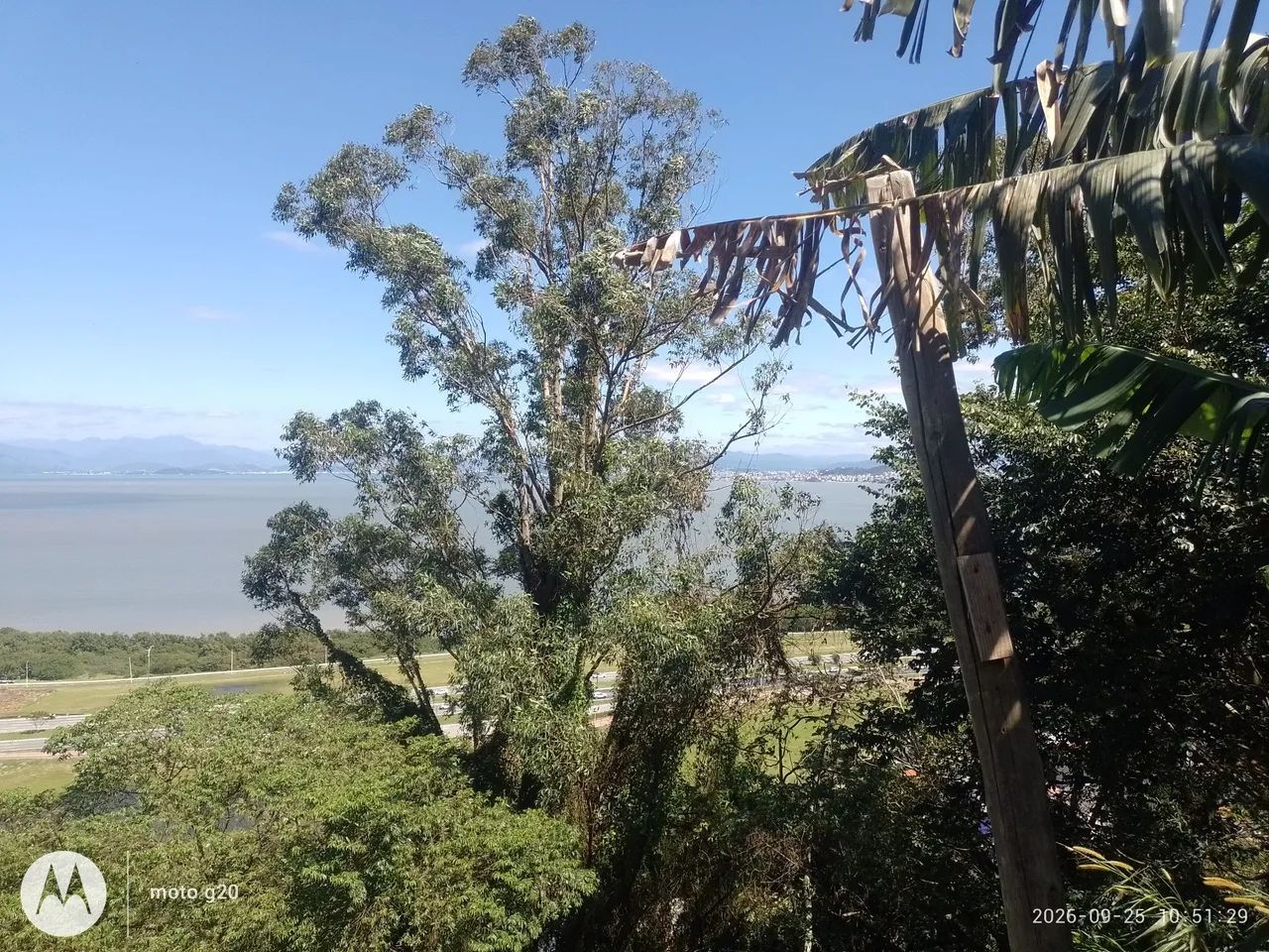 Terreno na Costeira - Foto 4