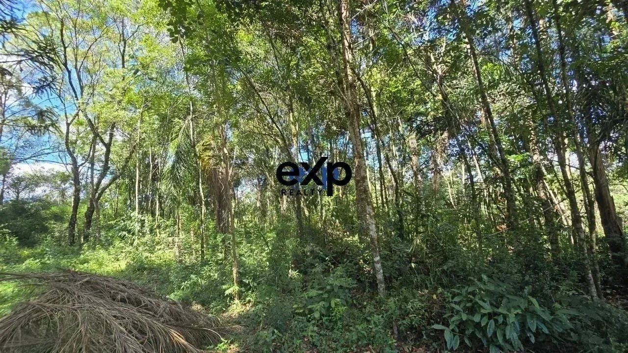 CHÁCARA LEÃO AGUDOS DO SUL PR - Foto 4