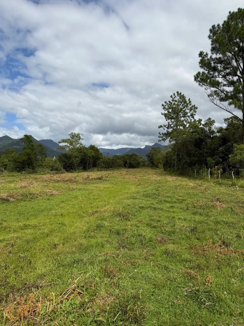 Foto - Criciúma - Centro