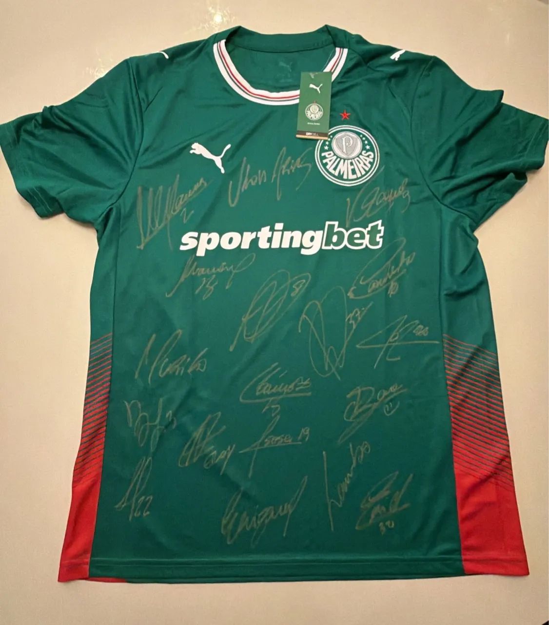 Camisa Autografada Palmeiras 