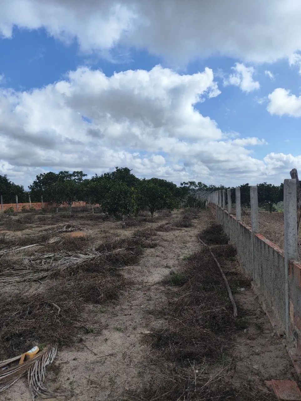 Terreno 19x60 - Foto 2