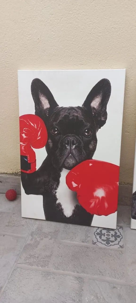 Quadro Decorativo Cachorro Buldogue Francês Divertido Kit com 3 Quadros - Foto 4