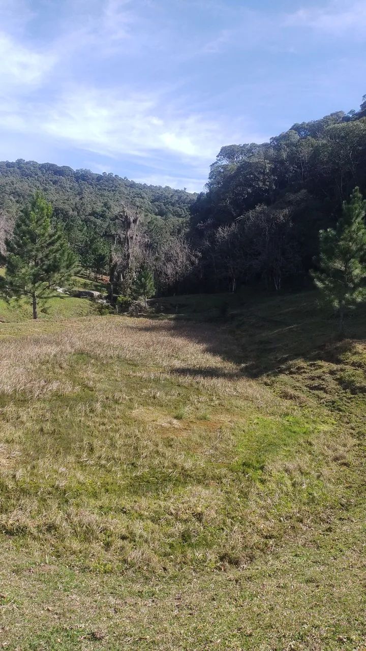 Terreno plano 2 ectares, muita água  - Foto 2