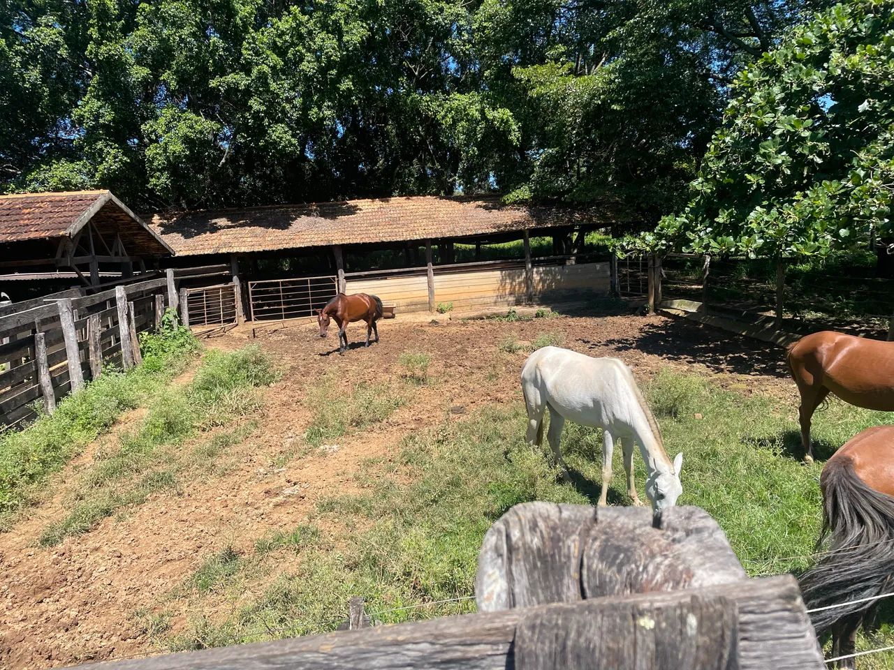 Fazendinha em terreno , a4km de Baldim - Foto 2