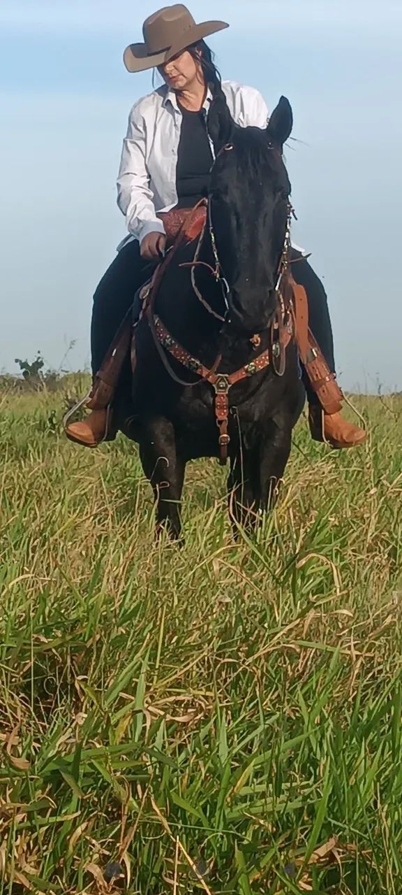 Cavalo e Potra - Foto 2