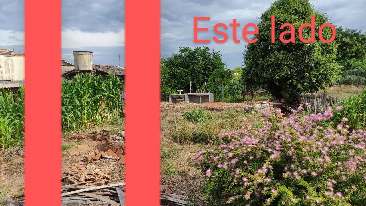01 casa e 02 terrenos ( ler anúncio) - Foto 4