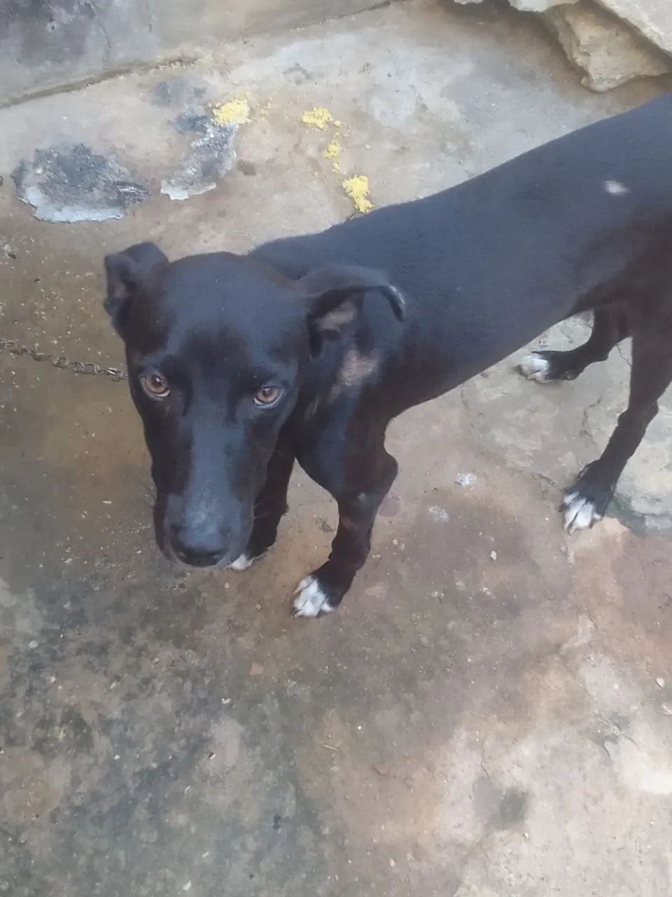 Doação  - Foto 3