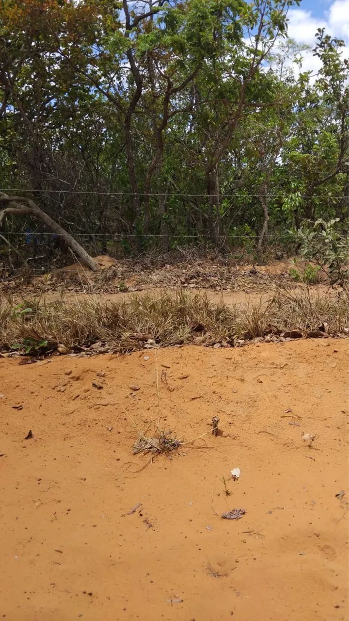 Terreno de 5.000 metros  - Foto 3