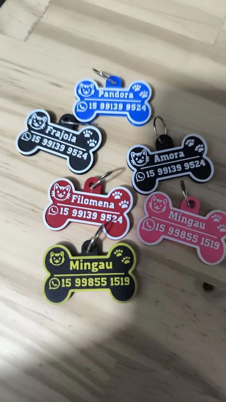 Placa de identificação para gatos com nome e WhatsApp 