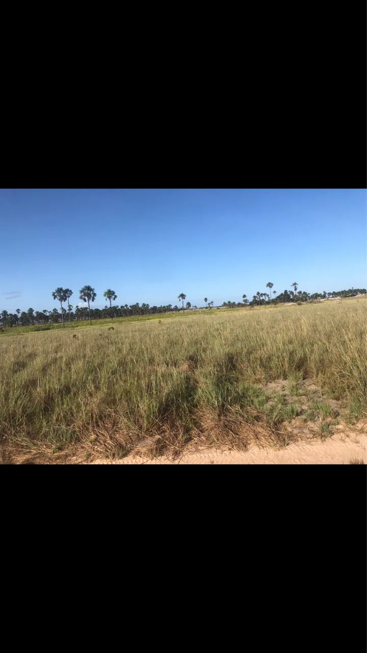 Foto - Boa Vista - Nova Cidade