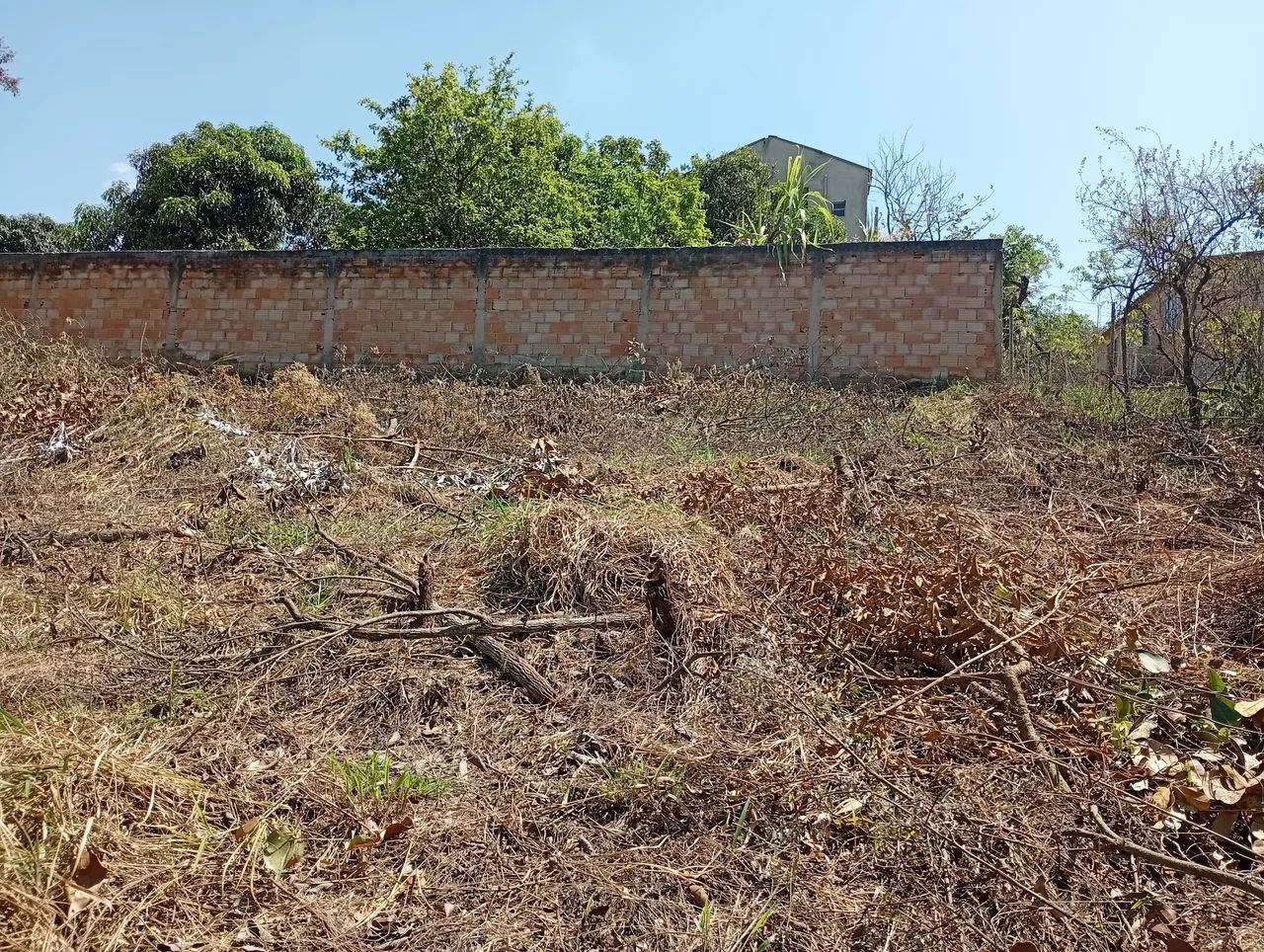 Lote - Foto 3