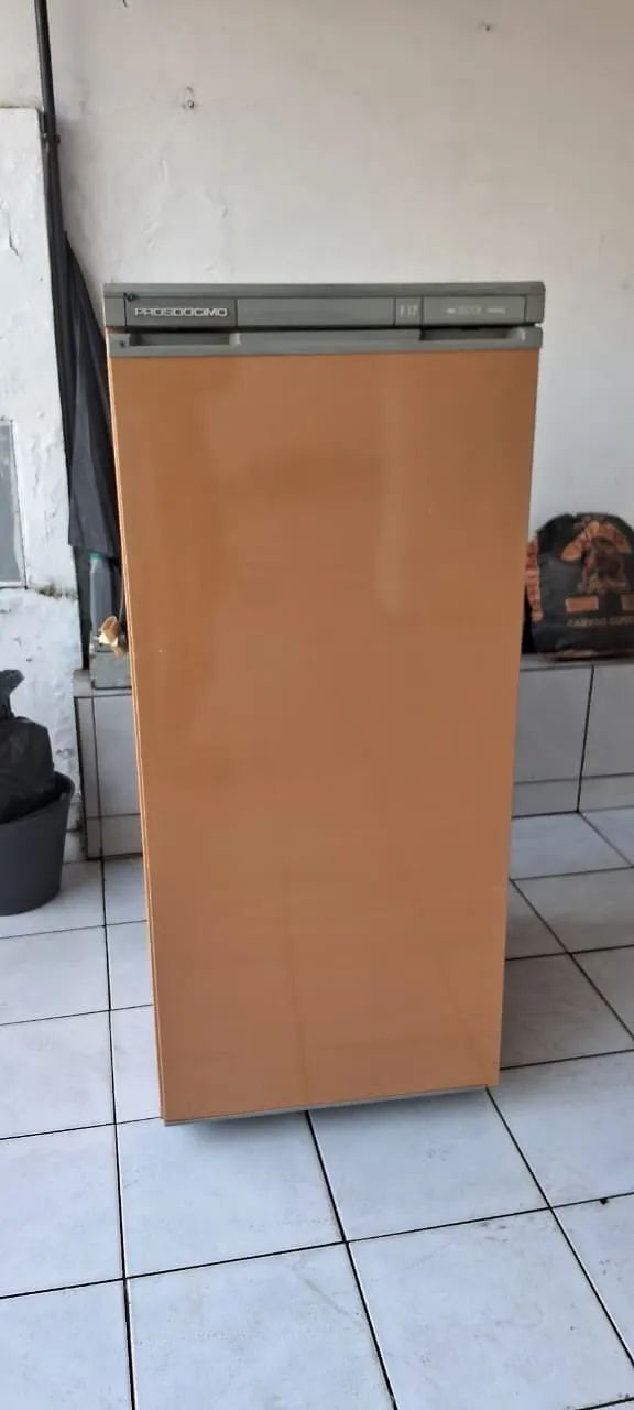 FREEZER VERTICAL PROSDOCIMO 127V ENTREGO - Foto 2