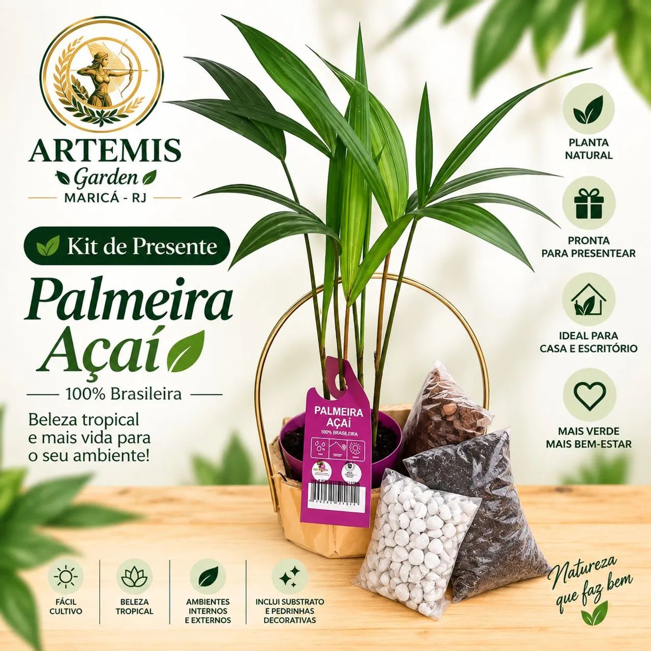 Kit de plantas para presentear  - Foto 2