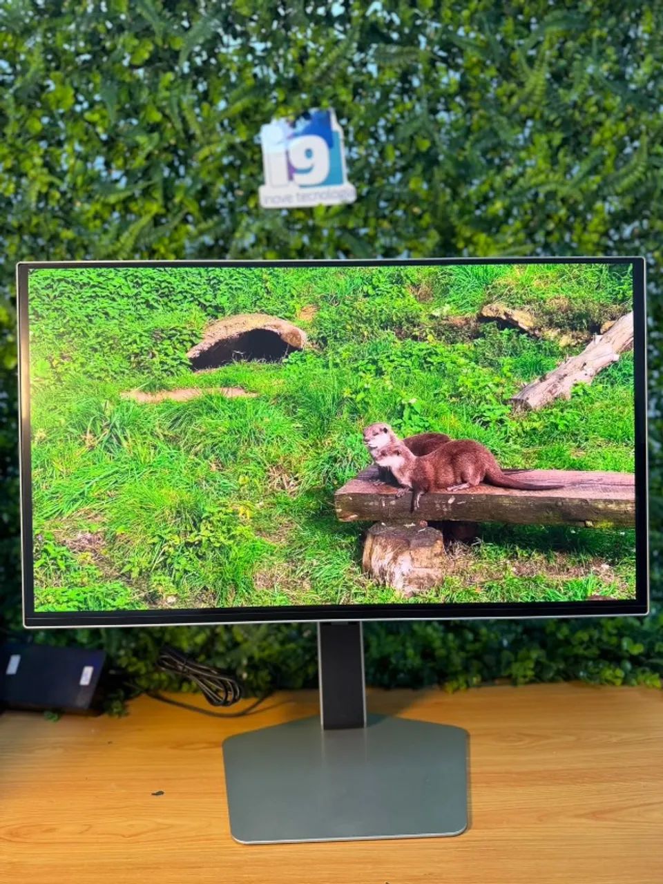Monitor Samsung Odyssey  27 Polegadas 500Hz  Modelo: LS27DG600SLXZD   OLED G6 G60SF  QHD   - Foto 2