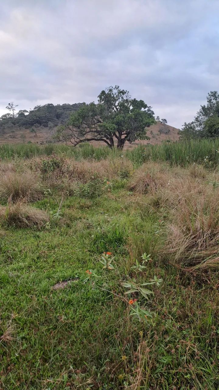 Terreno   - Foto 4