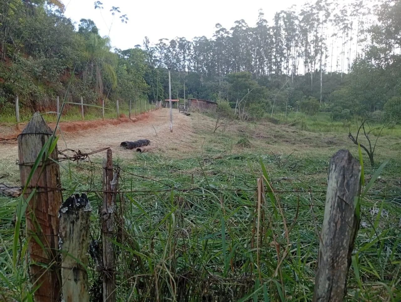 Chácara 2.500 m2 plana - Próxima da cidade - Foto 5